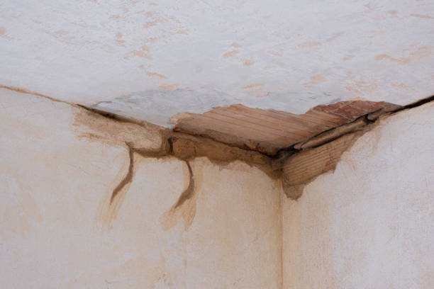 Best Water damage repair service  in Grove, OK