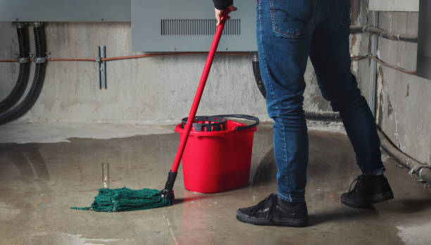 Best Water damage cleanup near me  in Grove, OK