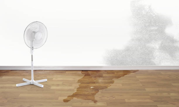 Best Water damage restoration specialists  in Grove, OK