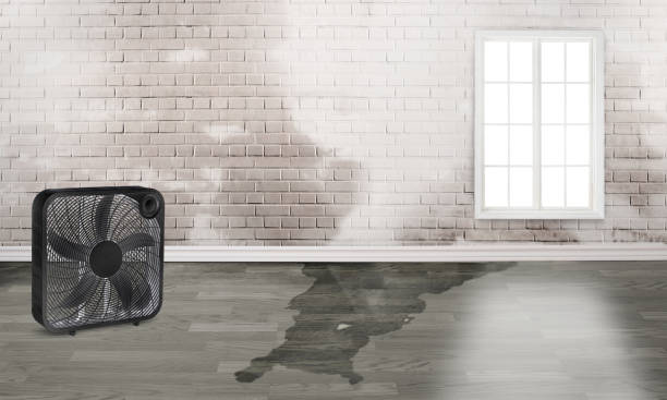 Best Carpet water damage restoration  in Grove, OK