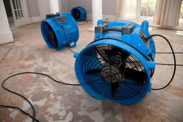 Best Basement water damage restoration  in Grove, OK
