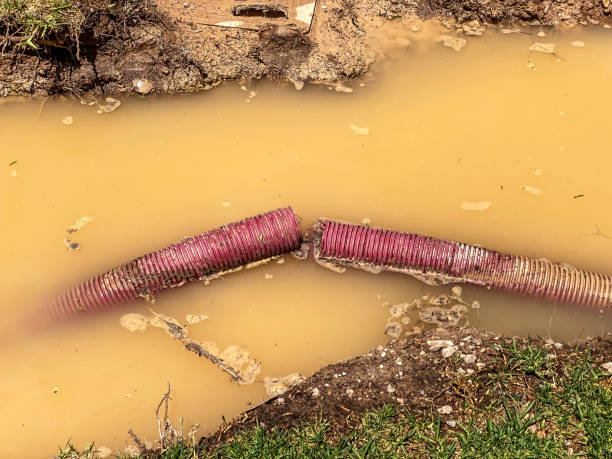 Best Professional water damage repair  in Grove, OK